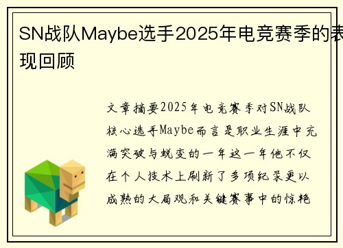 SN战队Maybe选手2025年电竞赛季的表现回顾
