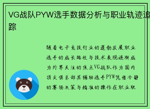 VG战队PYW选手数据分析与职业轨迹追踪